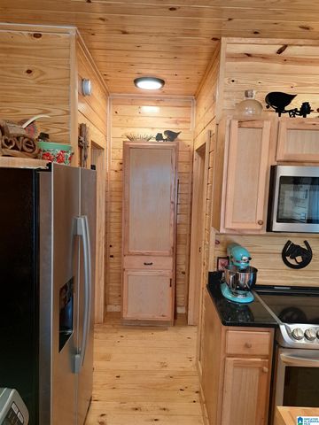 210 FOSTER COVE DRIVE, Lineville, AL 36266