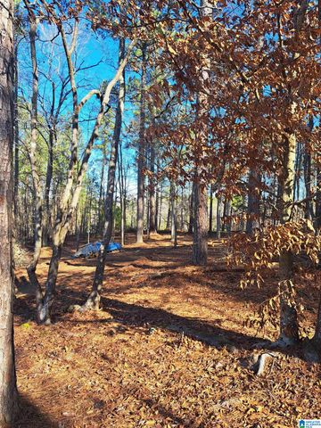 210 FOSTER COVE DRIVE, Lineville, AL 36266