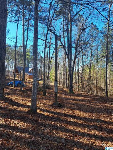 210 FOSTER COVE DRIVE, Lineville, AL 36266