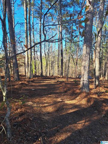 210 FOSTER COVE DRIVE, Lineville, AL 36266