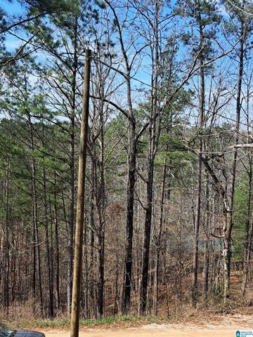 210 FOSTER COVE DRIVE, Lineville, AL 36266