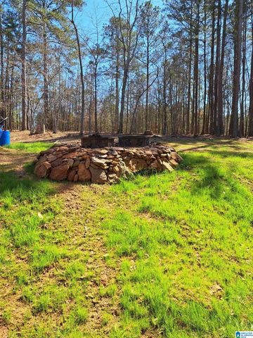 210 FOSTER COVE DRIVE, Lineville, AL 36266