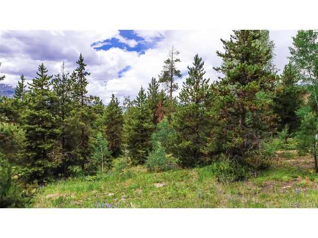 277 G Rd, Silverthorne, CO 80498