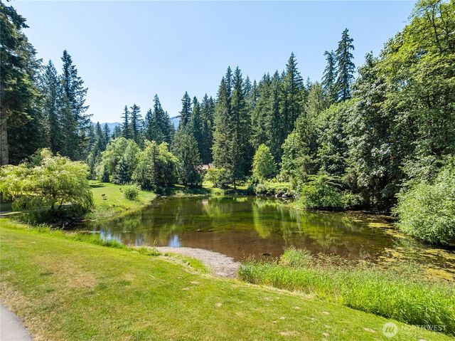 7077 Austin Pass Road, Glacier, WA 98244