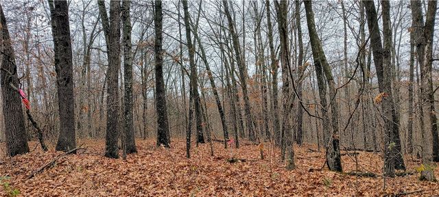 Lot 1 of Block 4 Herne Lane, Bella Vista, AR 72714