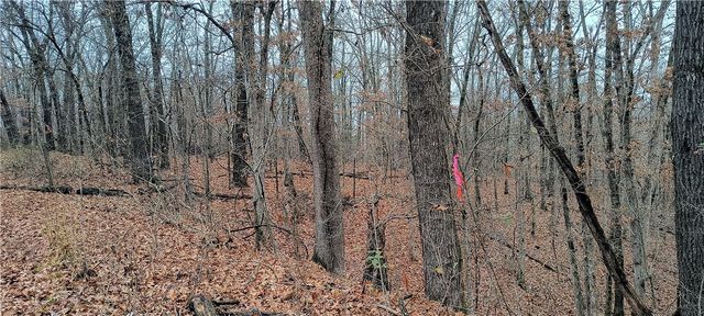 Lot 1 of Block 4 Herne Lane, Bella Vista, AR 72714