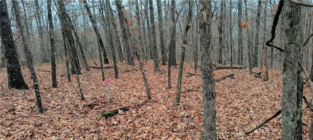 Lot 1 of Block 4 Herne Lane, Bella Vista, AR 72714