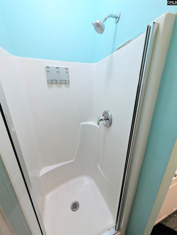 11 Founders Lake Court, Columbia, SC 29229