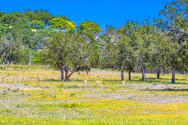 165 Williams Trail, Kerrville, TX 78028