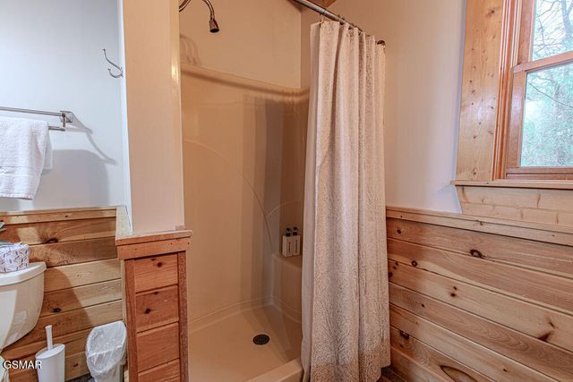 709 Golden Eagle Way, Pigeon Forge, TN 37863