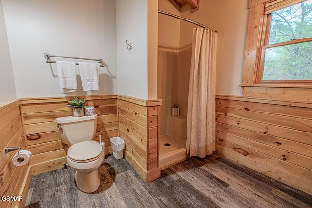 709 Golden Eagle Way, Pigeon Forge, TN 37863