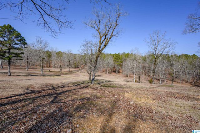 165 ROCKHILL DRIVE, Shelby, AL 35143