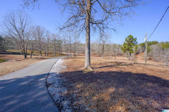 165 ROCKHILL DRIVE, Shelby, AL 35143