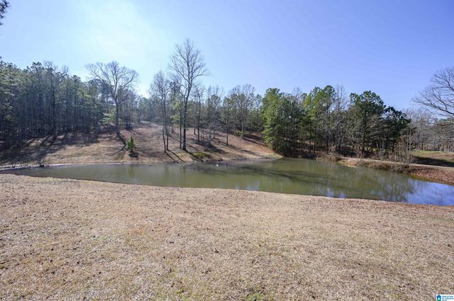 165 ROCKHILL DRIVE, Shelby, AL 35143