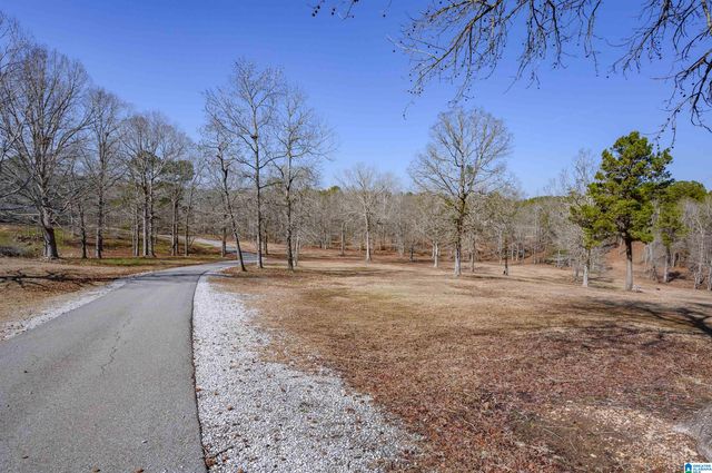 165 ROCKHILL DRIVE, Shelby, AL 35143