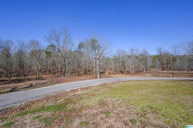 165 ROCKHILL DRIVE, Shelby, AL 35143