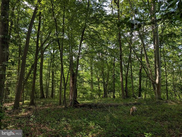 12 HIDDEN HOLLOW DR, Hamilton, NJ 08620