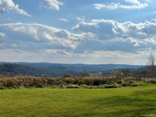 519 County Route 164, Callicoon, NY 12723
