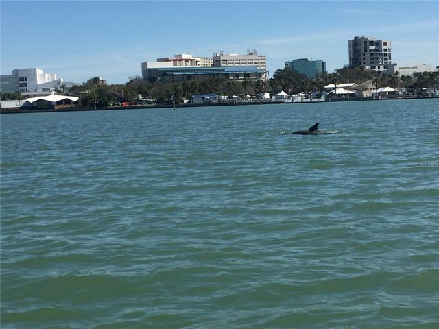 3324 BRIARWOOD LANE, Safety Harbor, FL 34695