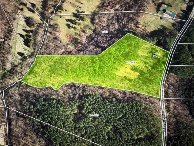 448 PINE NEEDLES LN, Afton, VA 22920