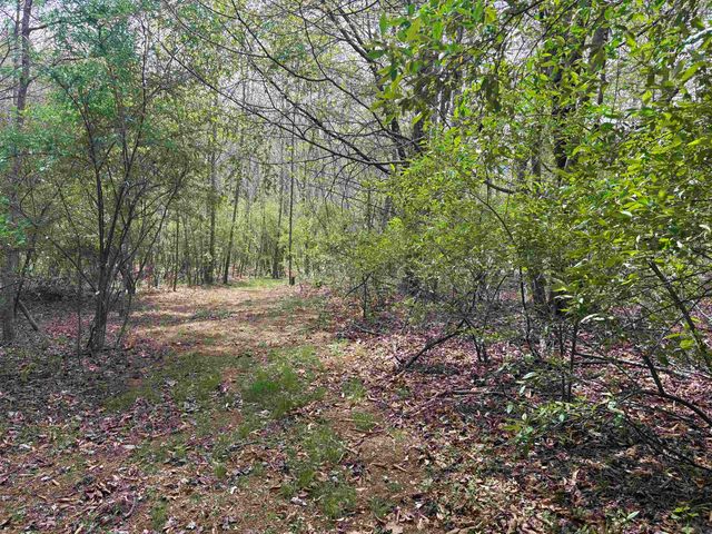 448 PINE NEEDLES LN, Afton, VA 22920