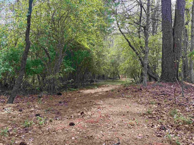 448 PINE NEEDLES LN, Afton, VA 22920
