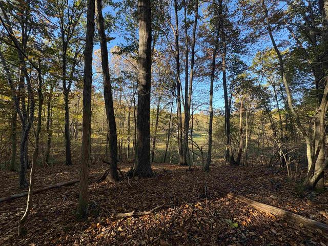 448 PINE NEEDLES LN, Afton, VA 22920