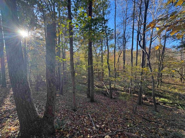 448 PINE NEEDLES LN, Afton, VA 22920