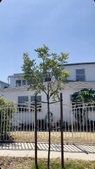 2220 Delaware C, Santa Monica, CA 90404