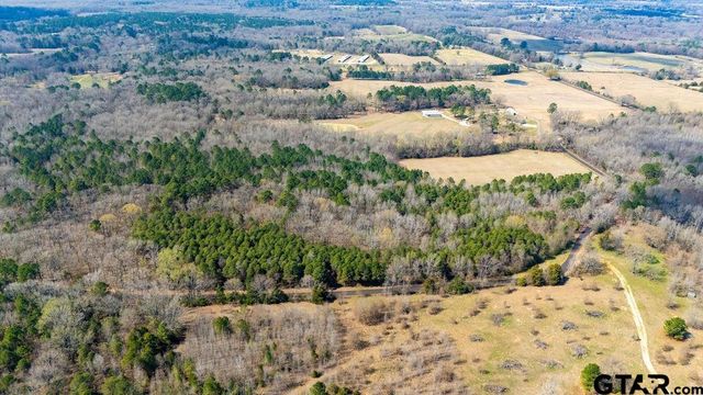 TBD CR 3986, Winnsboro, TX 75494