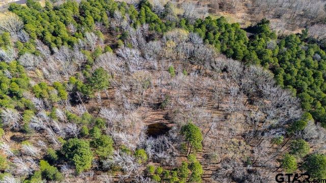 TBD CR 3986, Winnsboro, TX 75494