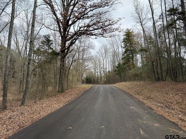 TBD CR 3986, Winnsboro, TX 75494