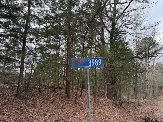 TBD CR 3986, Winnsboro, TX 75494