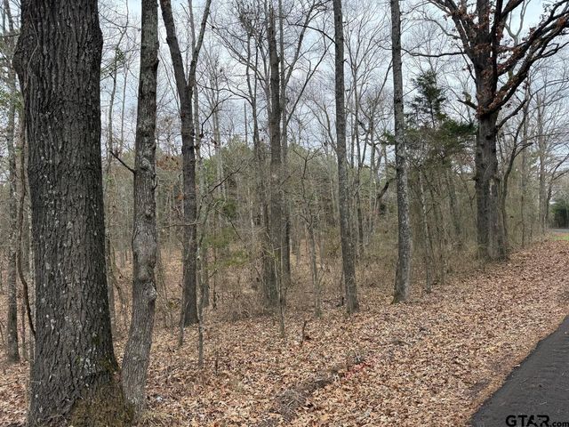 TBD CR 3986, Winnsboro, TX 75494