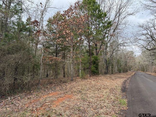 TBD CR 3986, Winnsboro, TX 75494