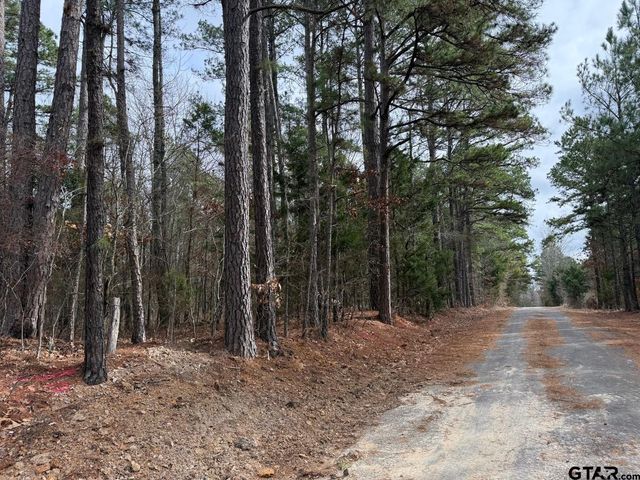 TBD CR 3986, Winnsboro, TX 75494