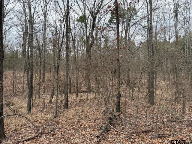 TBD CR 3986, Winnsboro, TX 75494