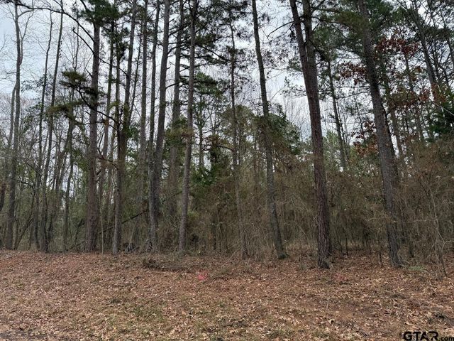 TBD CR 3986, Winnsboro, TX 75494