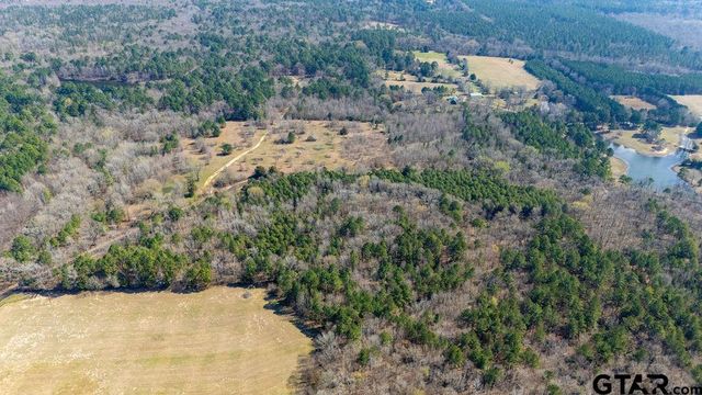 TBD CR 3986, Winnsboro, TX 75494