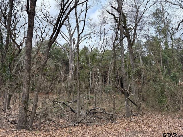 TBD CR 3986, Winnsboro, TX 75494