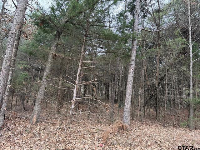 TBD CR 3986, Winnsboro, TX 75494