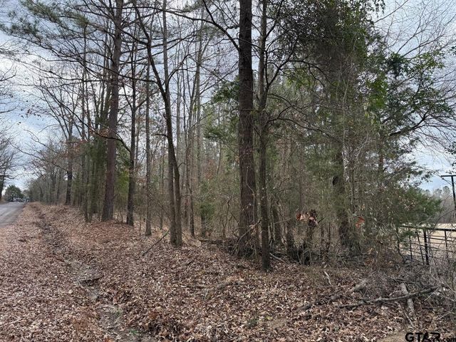 TBD CR 3986, Winnsboro, TX 75494