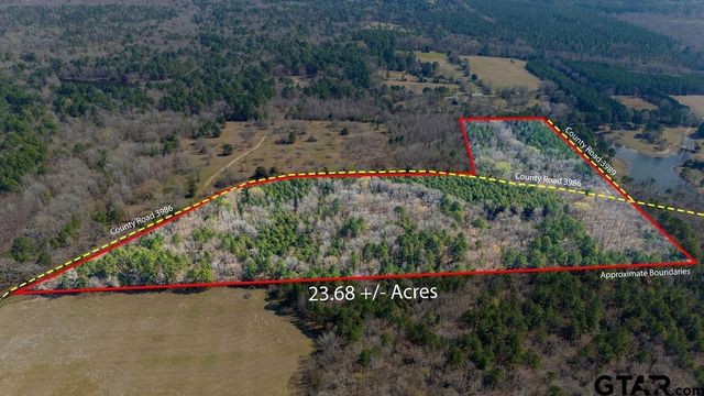 TBD CR 3986, Winnsboro, TX 75494