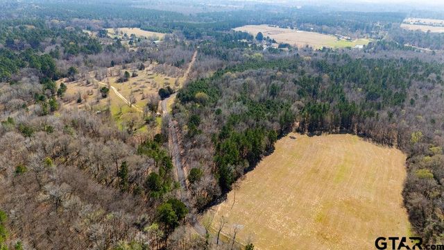 TBD CR 3986, Winnsboro, TX 75494