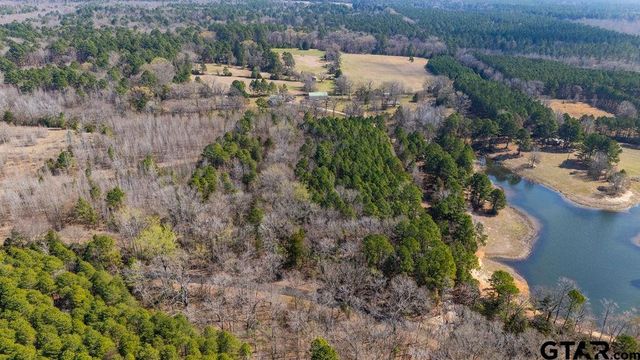 TBD CR 3986, Winnsboro, TX 75494