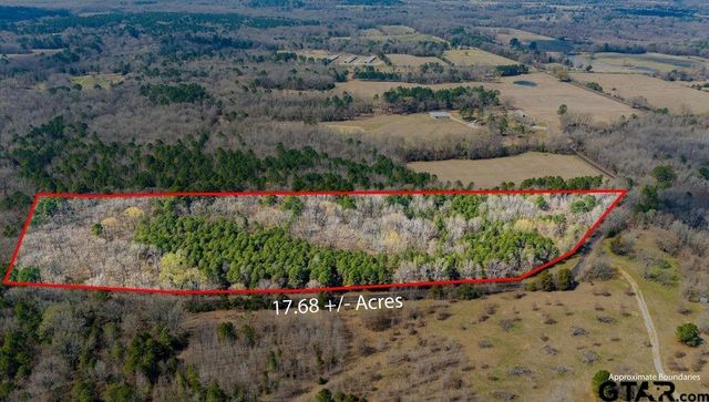 TBD CR 3986, Winnsboro, TX 75494