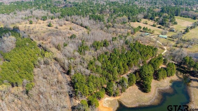 TBD CR 3986, Winnsboro, TX 75494