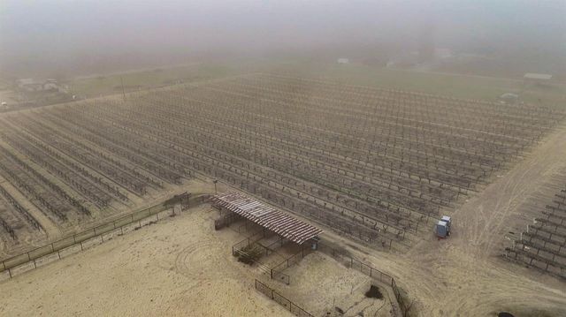 2104 W Magnolia Avenue, Caruthers, CA 93609