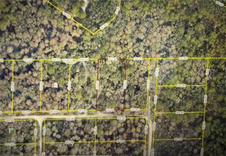 ROSE BLOOM AVENUE, Webster, FL 33597