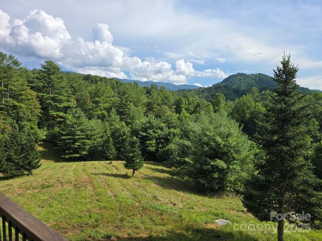 71 Banks Creek Road, Burnsville, NC 28714